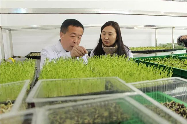 淄博旧厂房长出“极品菜立方”!萌萌哒还是高科技！