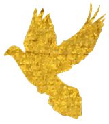 重磅！淄博刚刚签约46个大项目每个区县都有！总投资1300亿元！