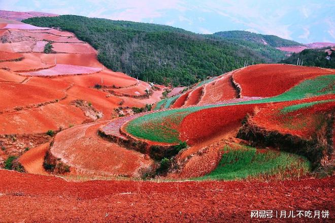 淄博神圣的土地红色的沃土